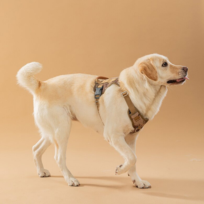 OD.COM胸背